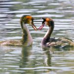 Literarische Namen: Dein Trumpf auf Dating-Apps